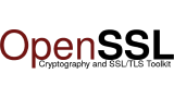 open ssl engine logo