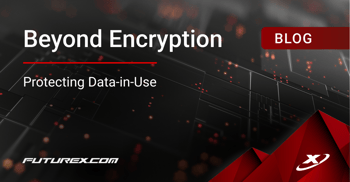 Beyond Encryption: Data-in-Use Protection