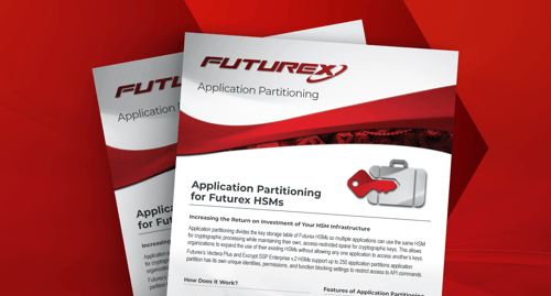 Application Partitioning Overview