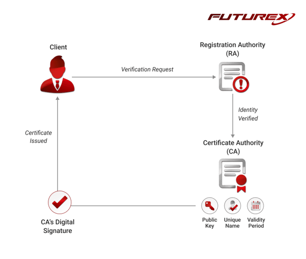 how does PKI work